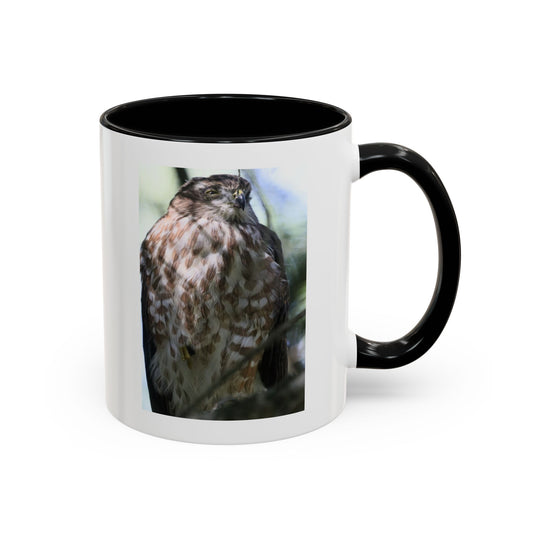 Hawk Photo Accent Coffee Mug — Birdwatcher Gift, 11/15oz