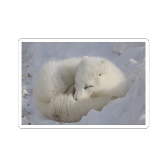 Arctic Fox Sleeping Kiss-Cut Sticker — Cute Winter Animal Decal