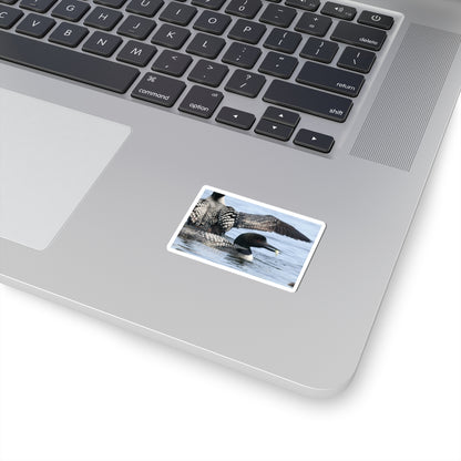 Common Loon Kiss-Cut Sticker — Realistic Waterfowl Photo Decal for Laptops, Water Bottles & Nature Lovers