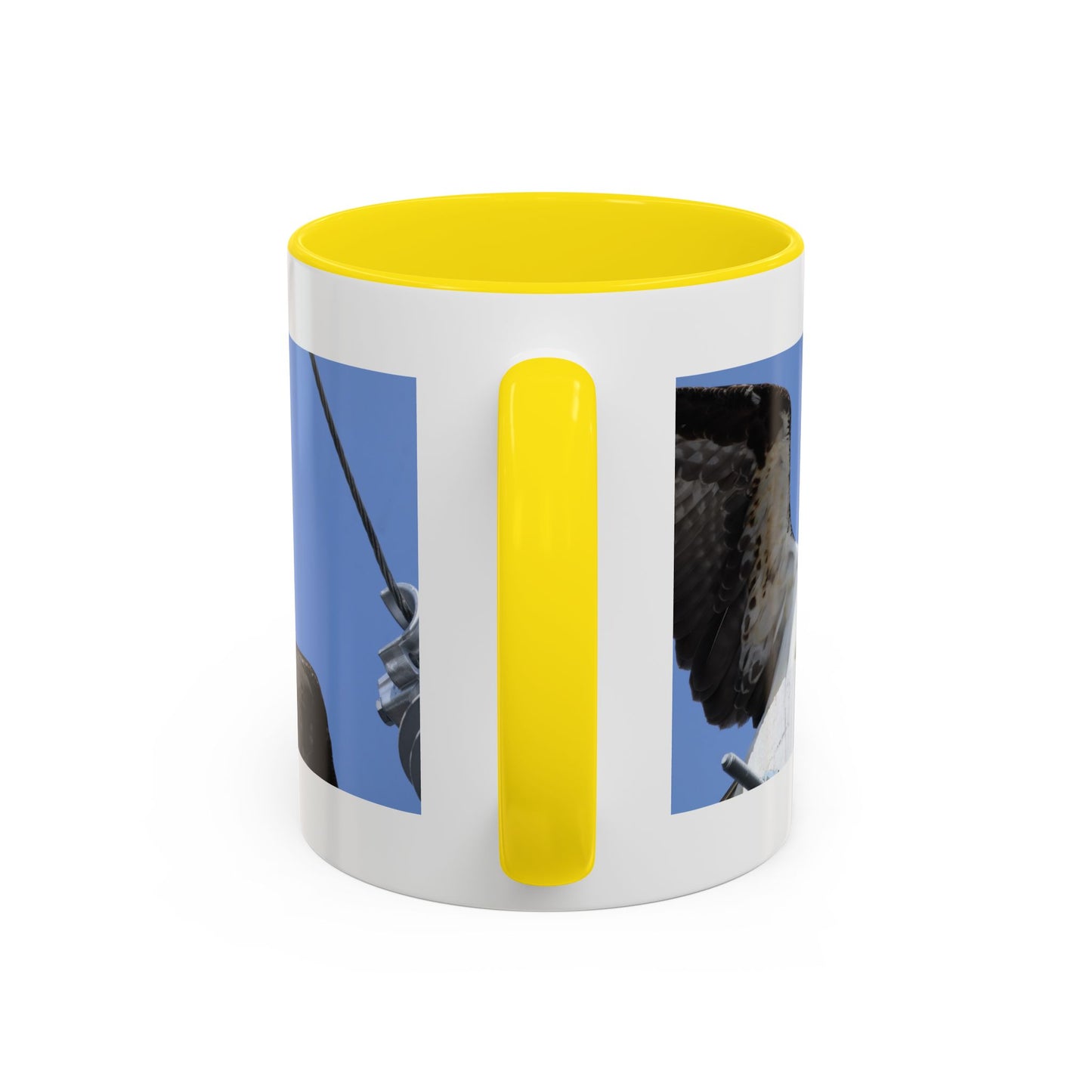 Osprey Photo Accent Coffee Mug – Wildlife Bird Photography Drinkware (11/15 oz)