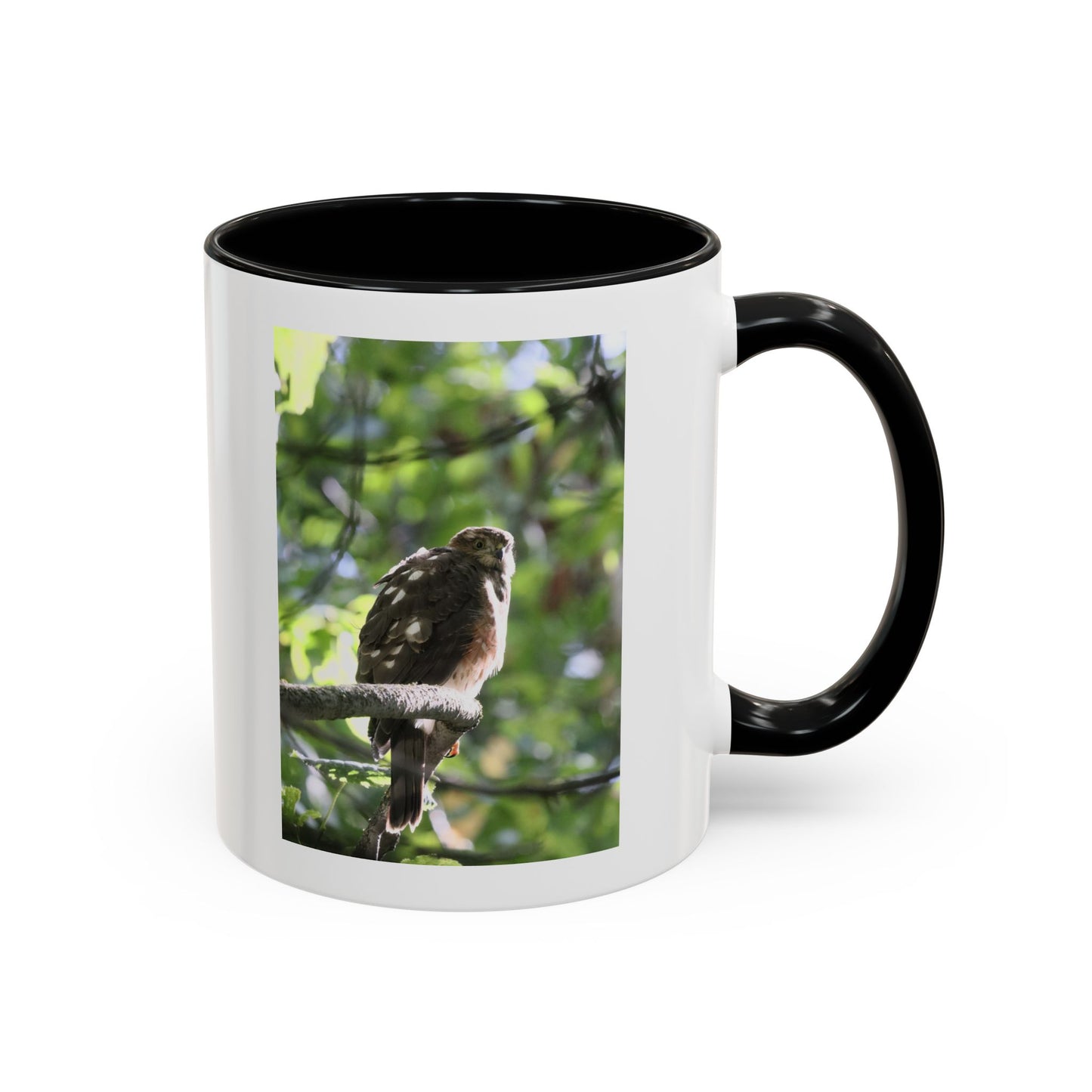 Hawk Perch Accent Coffee Mug (11/15 oz) – Nature Bird Photography