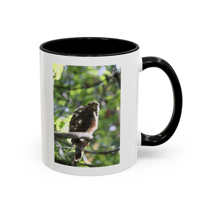 Hawk Perch Accent Coffee Mug (11/15 oz) – Nature Bird Photography