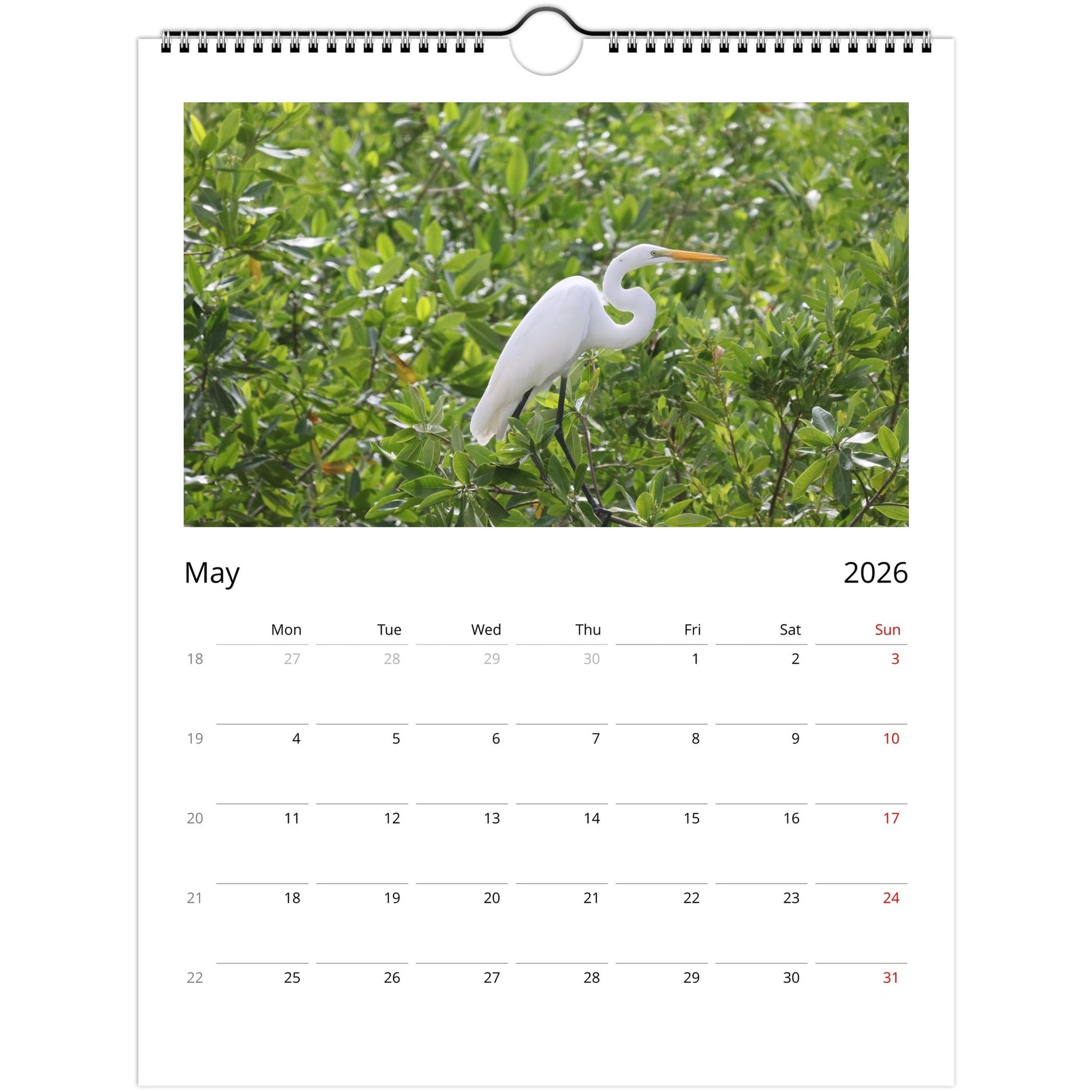 42c4d5a4-9ffd-4233-8813-84926db3665b