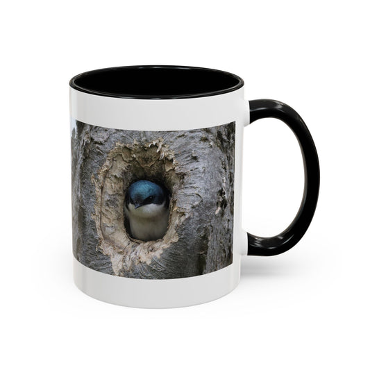 Bluebird in Tree Cavity Accent Coffee Mug — Nature Wildlife Ceramic Mug (11/15oz)
