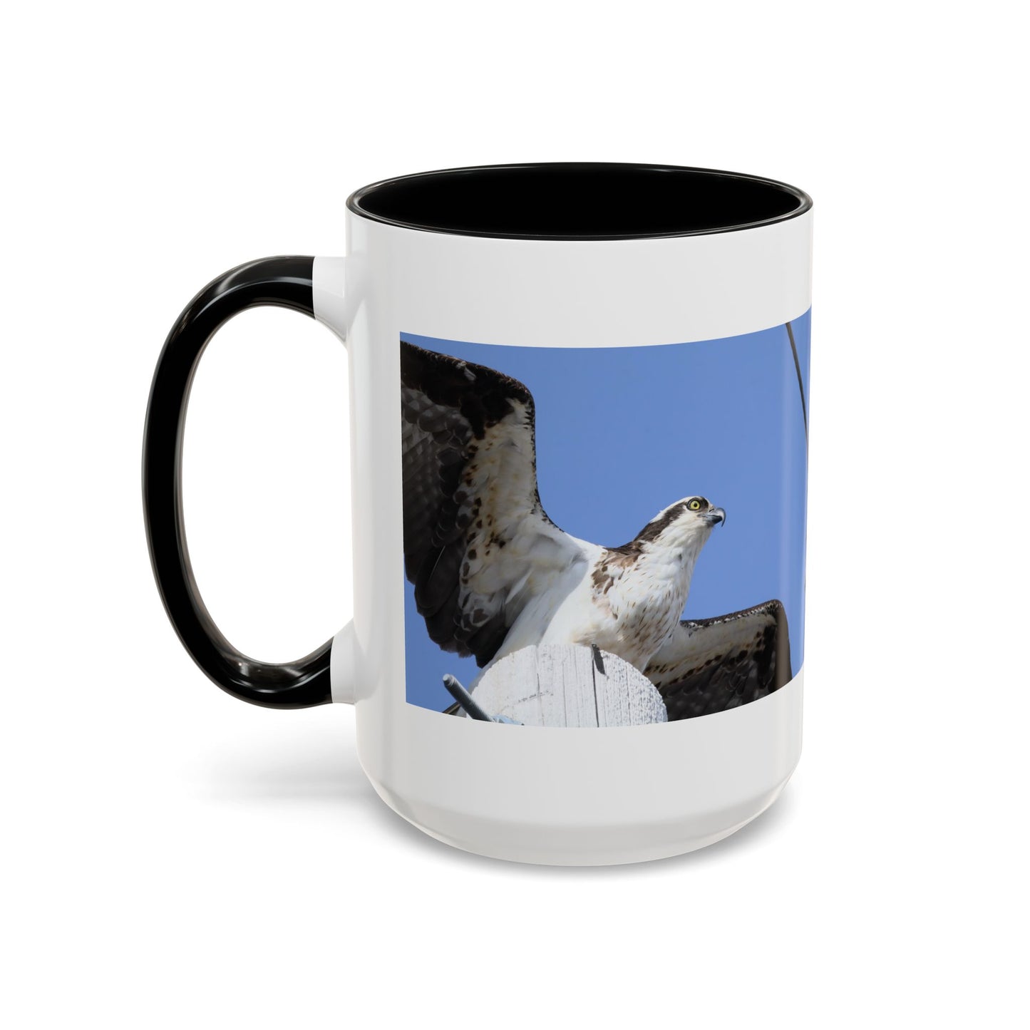 Osprey Photo Accent Coffee Mug – Wildlife Bird Photography Drinkware (11/15 oz)