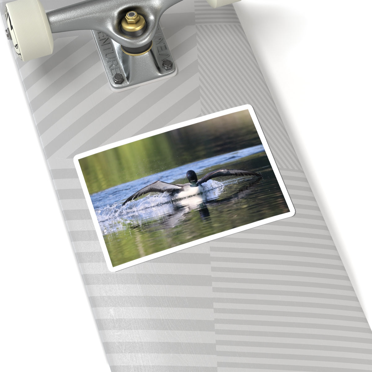 Loon Landing Photo Sticker — Waterproof Kiss-Cut Nature Decal