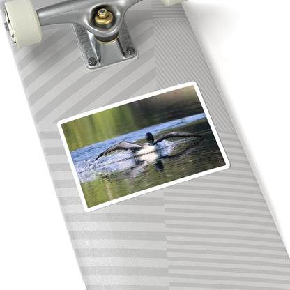 Loon Landing Photo Sticker — Waterproof Kiss-Cut Nature Decal