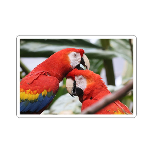 Scarlet Macaw Kiss-Cut Sticker — Tropical Parrot Laptop Decal