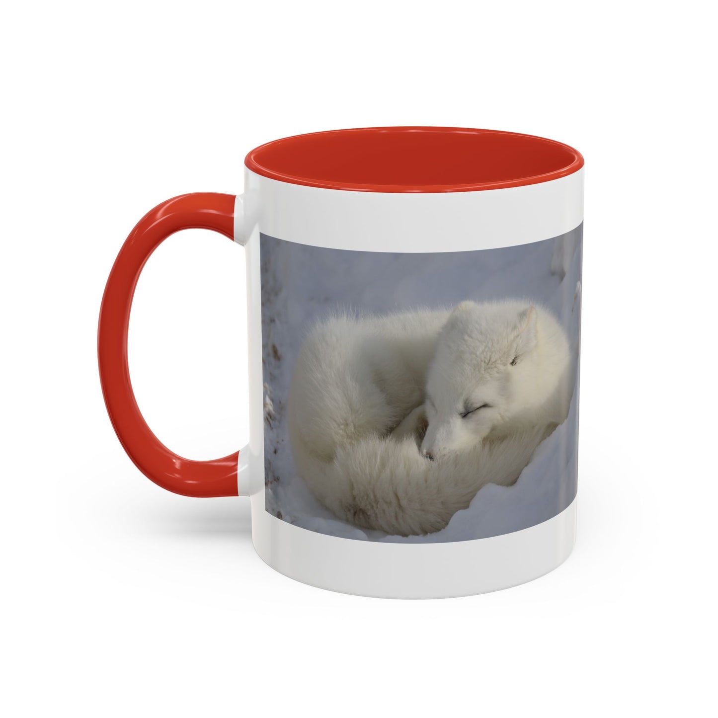 Arctic Fox Photo Accent Coffee Mug – Winter Wildlife Ceramic Mug (11/15oz)
