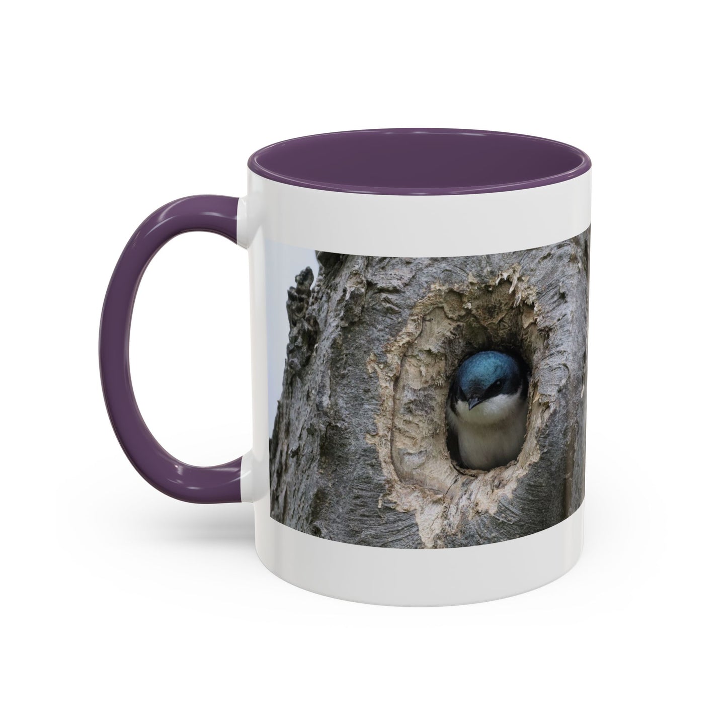 Bluebird in Tree Cavity Accent Coffee Mug — Nature Wildlife Ceramic Mug (11/15oz)