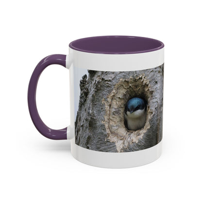 Bluebird in Tree Cavity Accent Coffee Mug — Nature Wildlife Ceramic Mug (11/15oz)