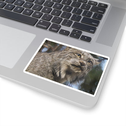 Lynx Photo Kiss-Cut Sticker — Realistic Wild Cat Laptop Decal