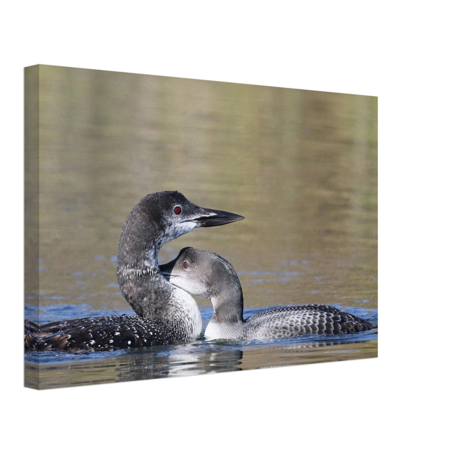 445959bb-cfb3-4166-ac0e-7d3ac5daa1d9