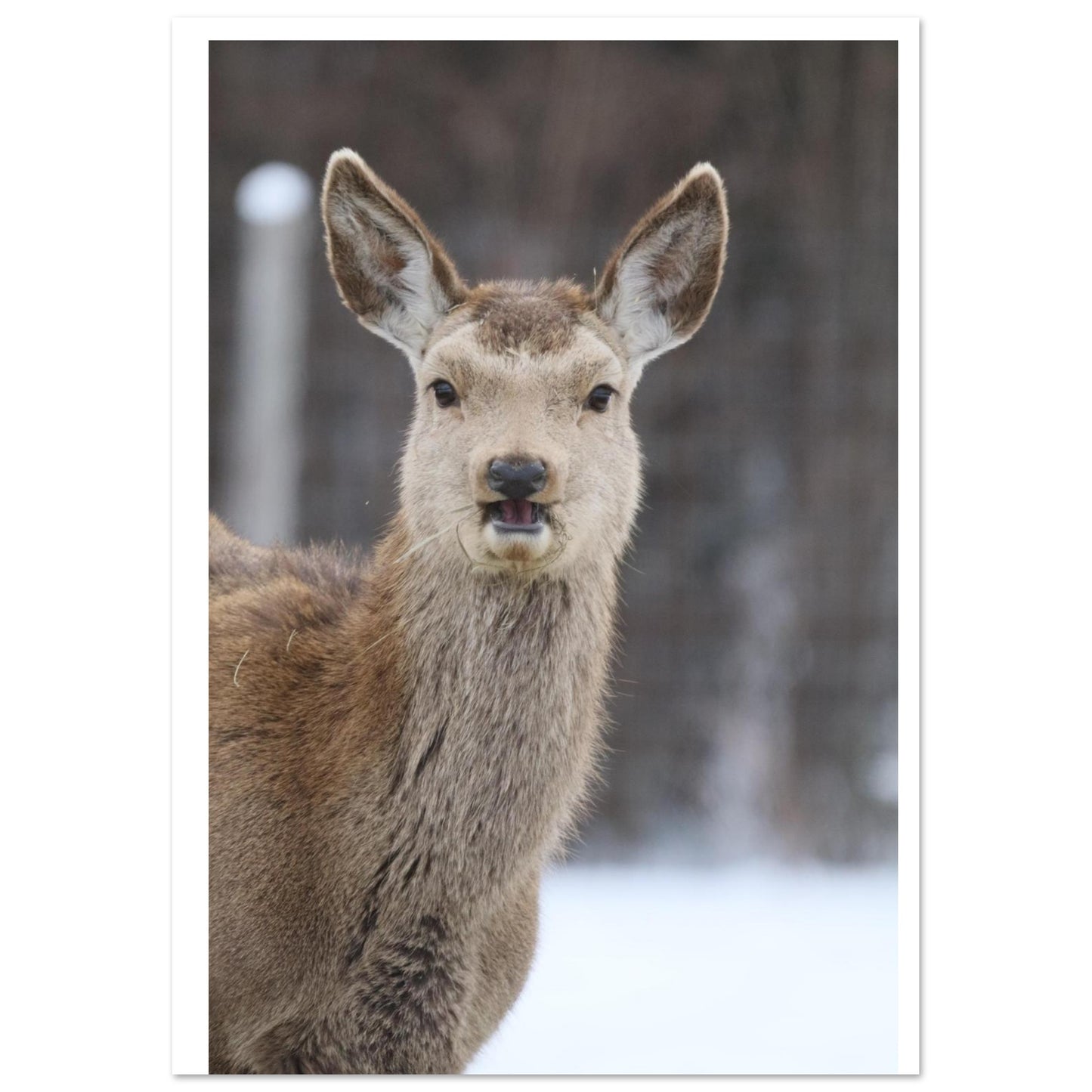 44658c7d-594e-4c5b-b179-dc2b2d919abf