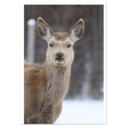 44658c7d-594e-4c5b-b179-dc2b2d919abf