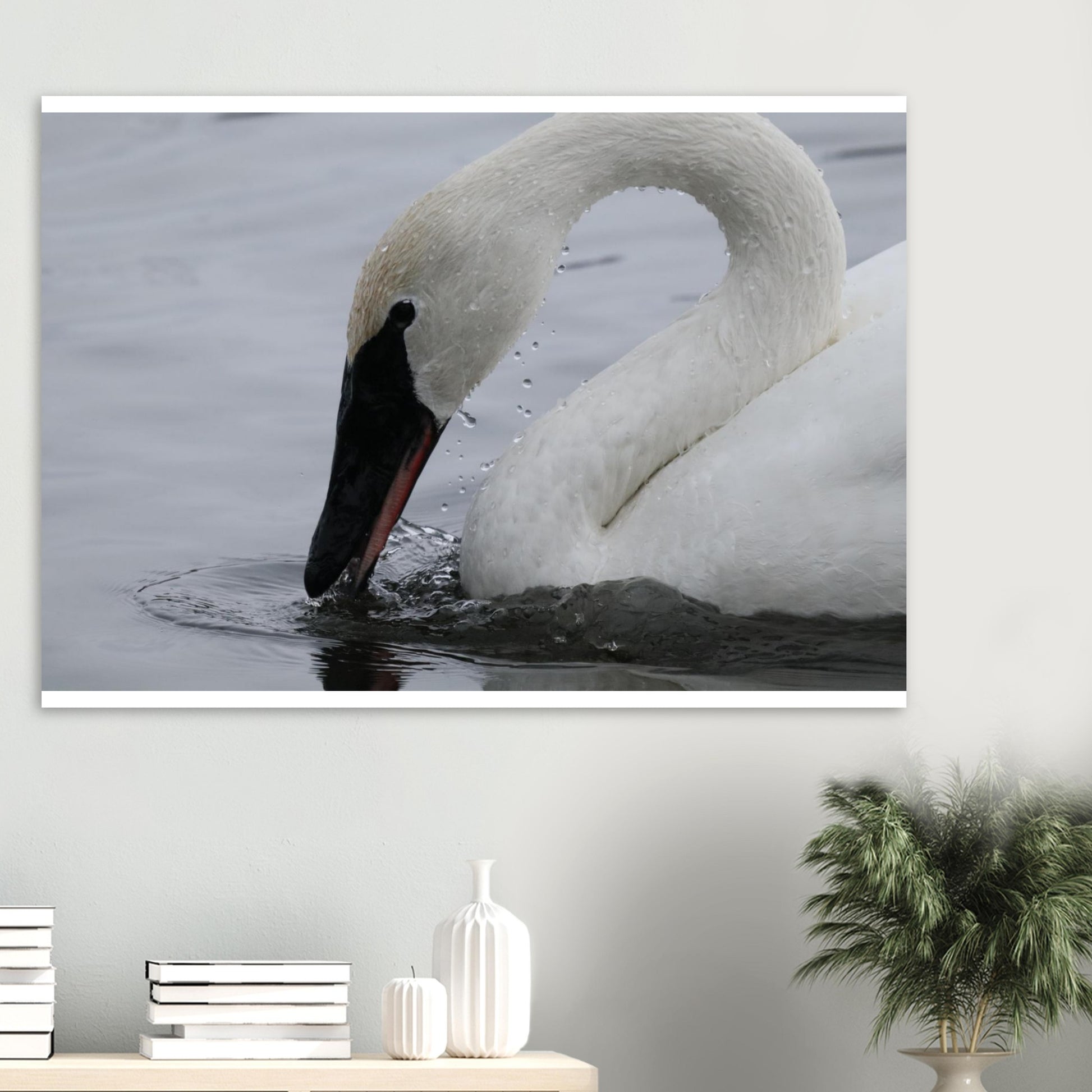 4550a97f-08fa-425b-914b-34e5ee96c6f0