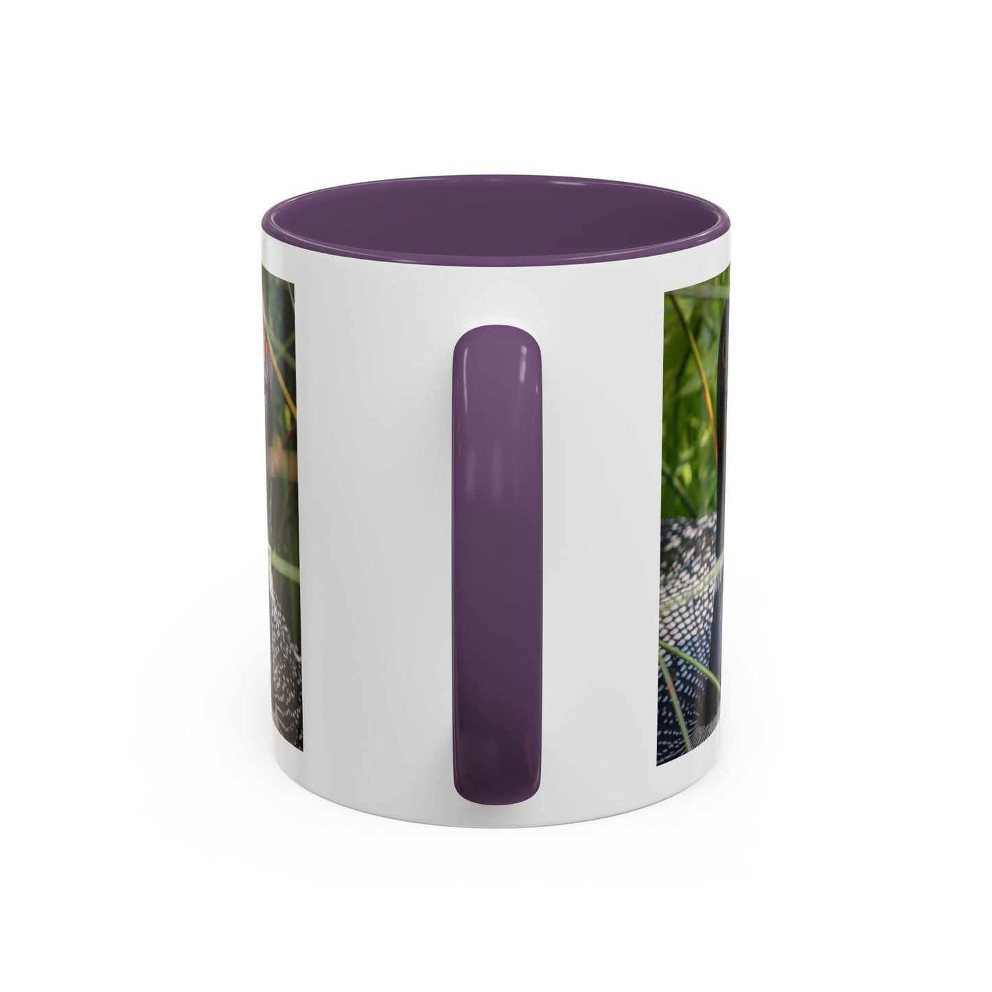 Common Loon Photo Accent Coffee Mug (11/15oz)