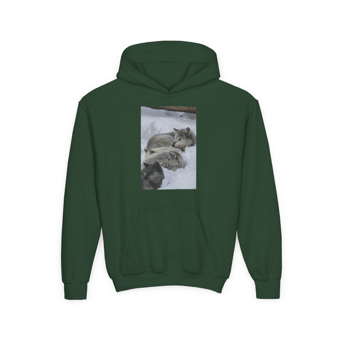 Sleeping Foxes Youth Hoodie | Wildlife Photography, Snow Scene