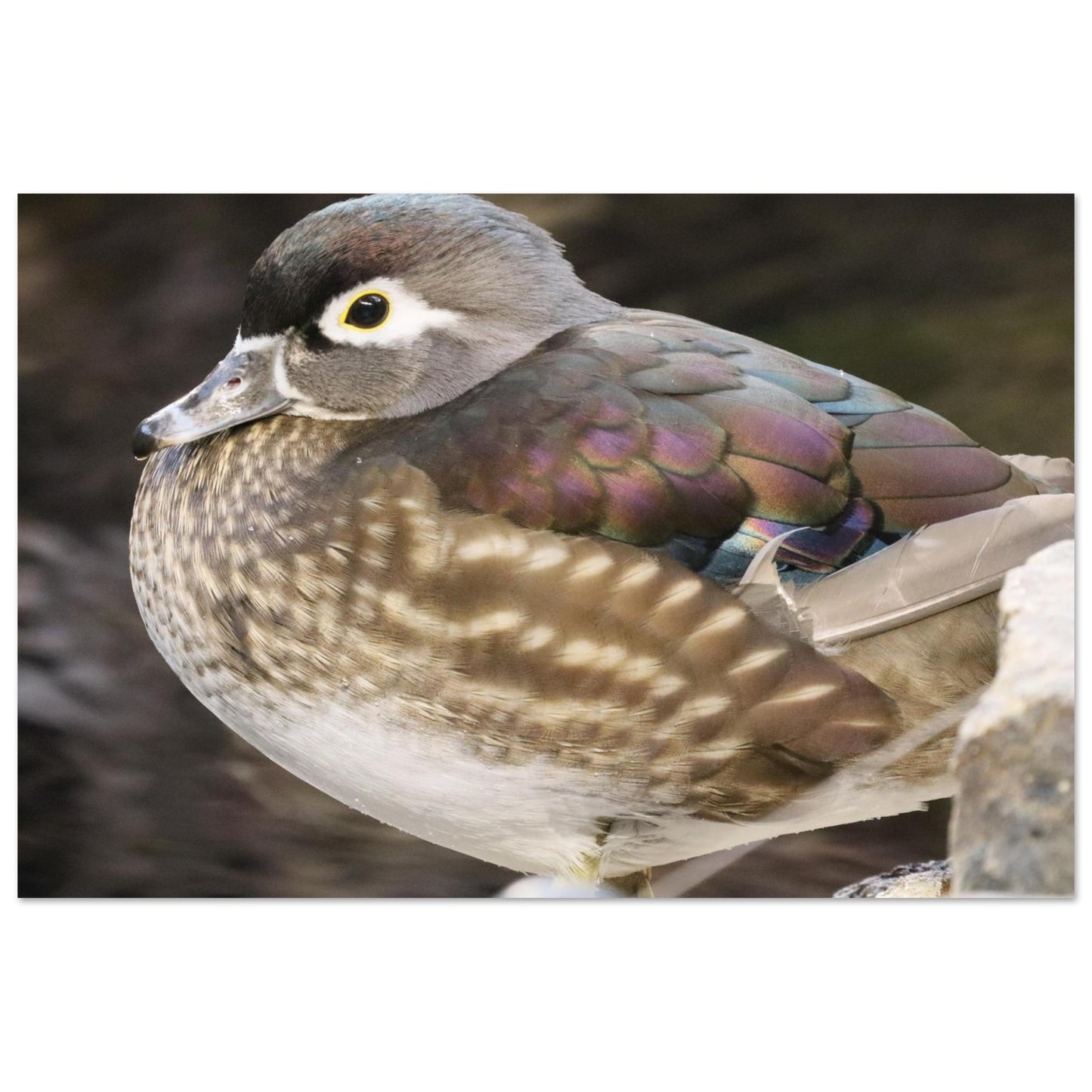 45e3aaf8-7376-45ab-a0ac-a018a3098a20