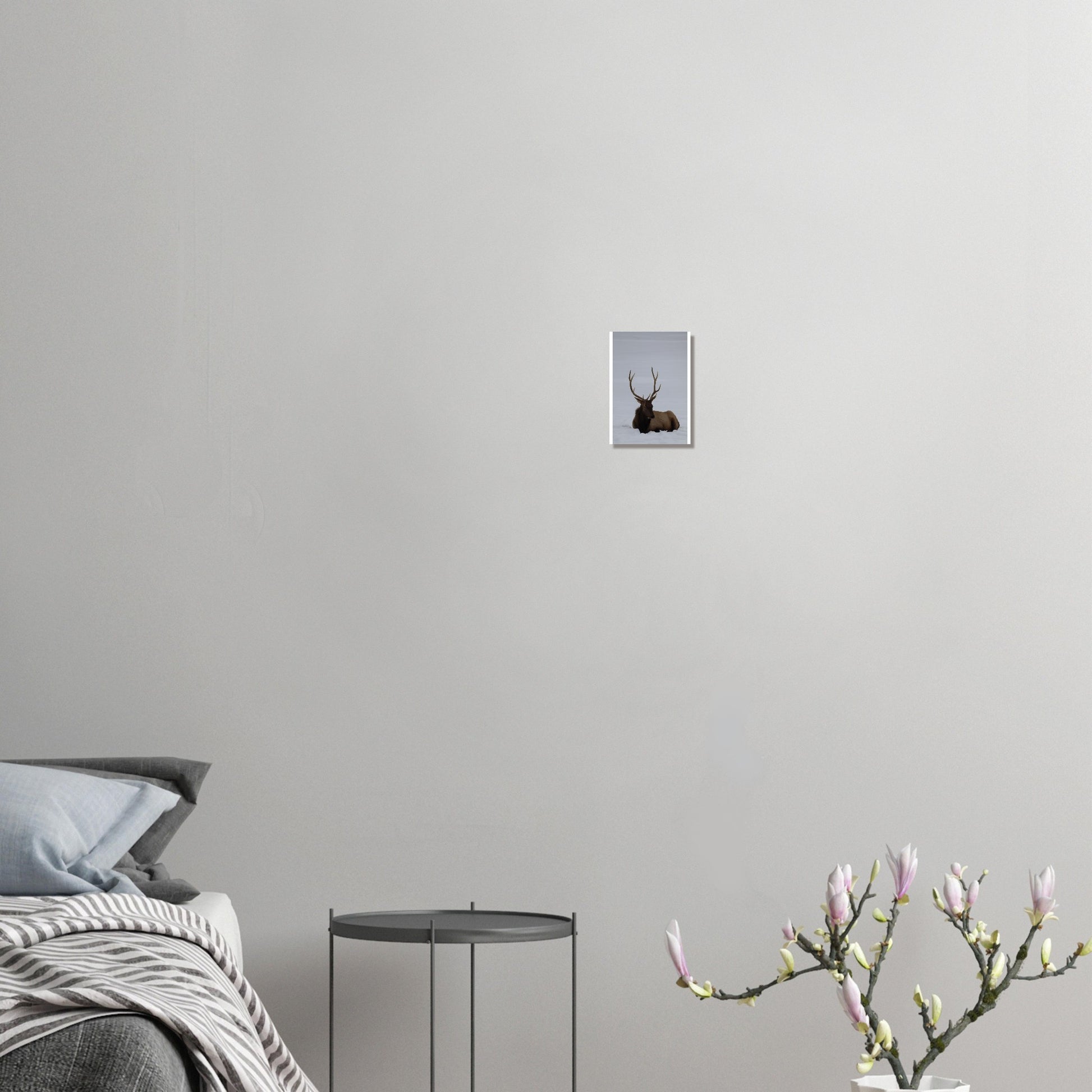 45e53c19-e6f4-40cc-a9ec-1c046f081c6e