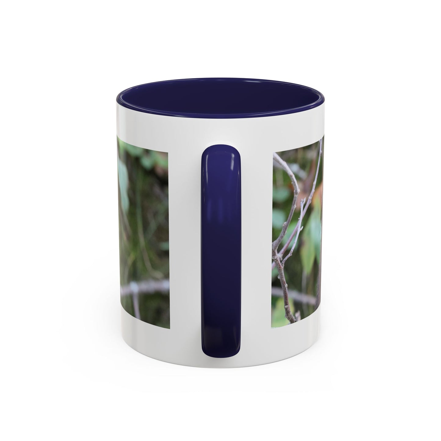 Cute Mink Photo Accent Mug – Wildlife Photography Coffee Cup (11/15 oz)