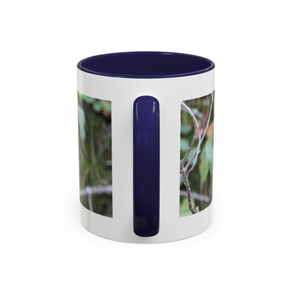 Cute Mink Photo Accent Mug – Wildlife Photography Coffee Cup (11/15 oz)