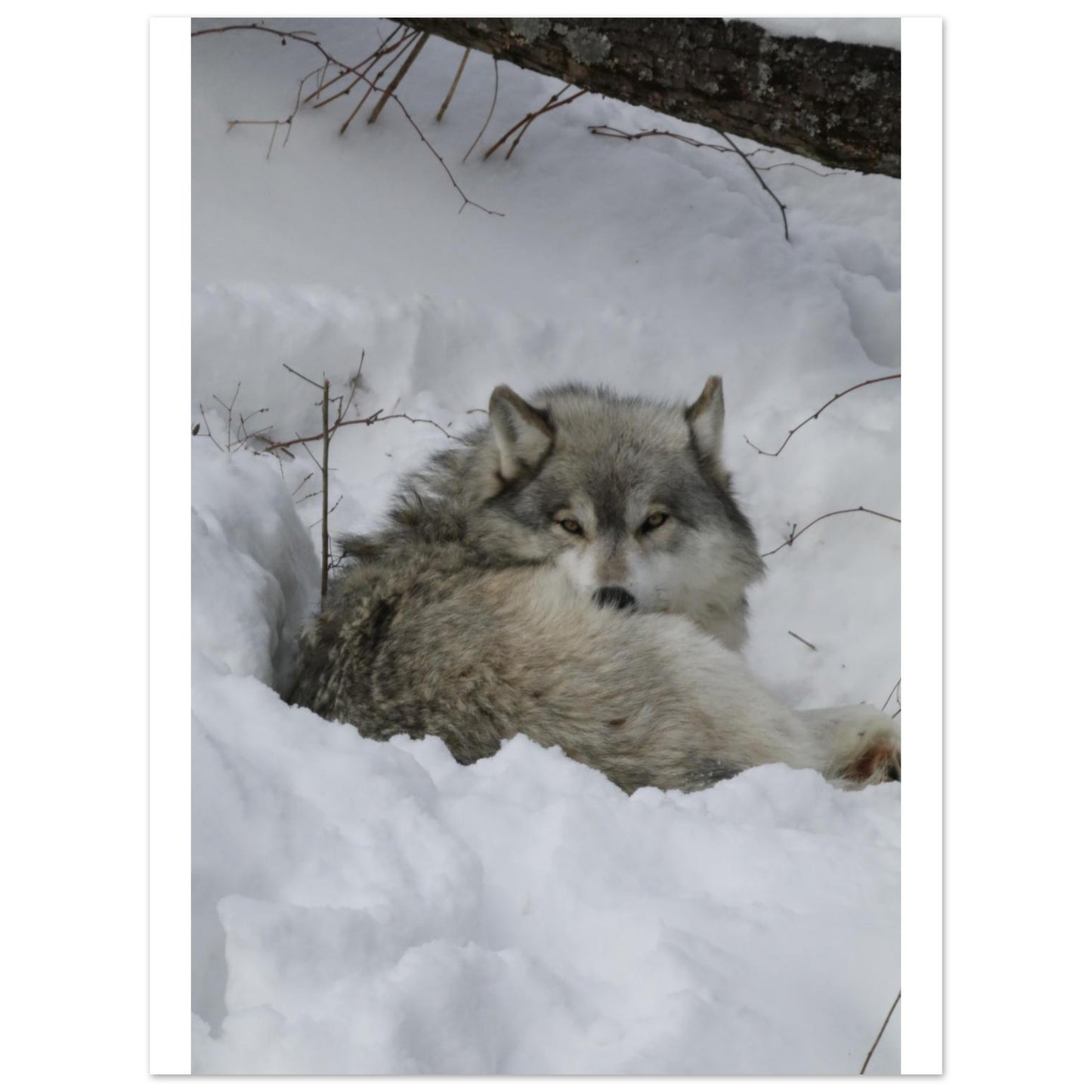 461a3b29-80ec-4d0e-ad5c-e245feac64b2