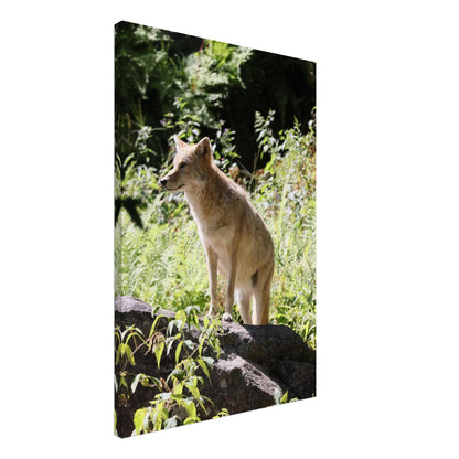 46400794-1acc-4d02-92af-9c11eef78b74