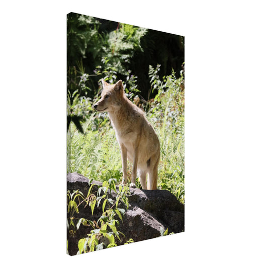 46400794-1acc-4d02-92af-9c11eef78b74