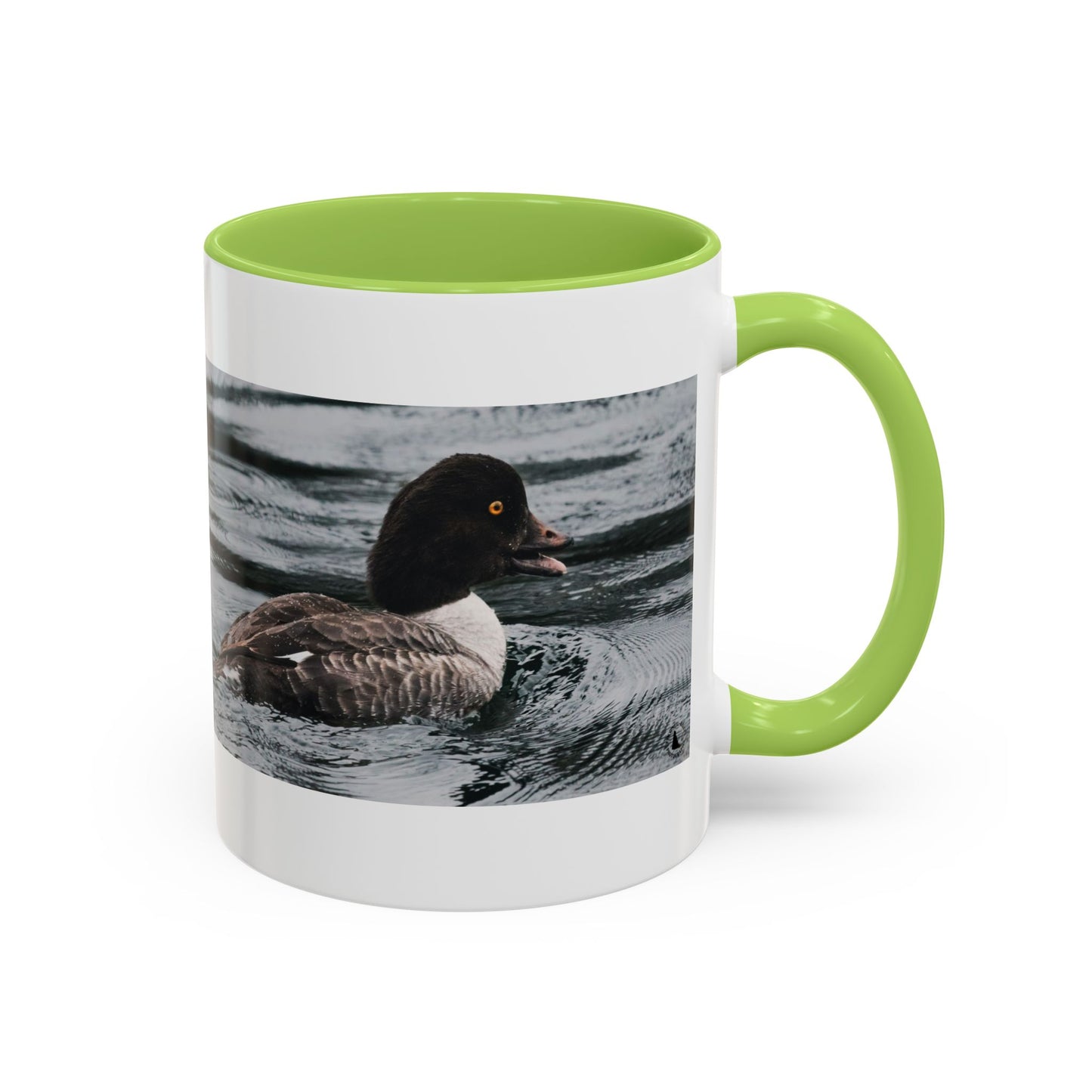 Goldeneye Duck Photo Accent Coffee Mug — Wildlife Nature Lover Gift (11/15 oz)