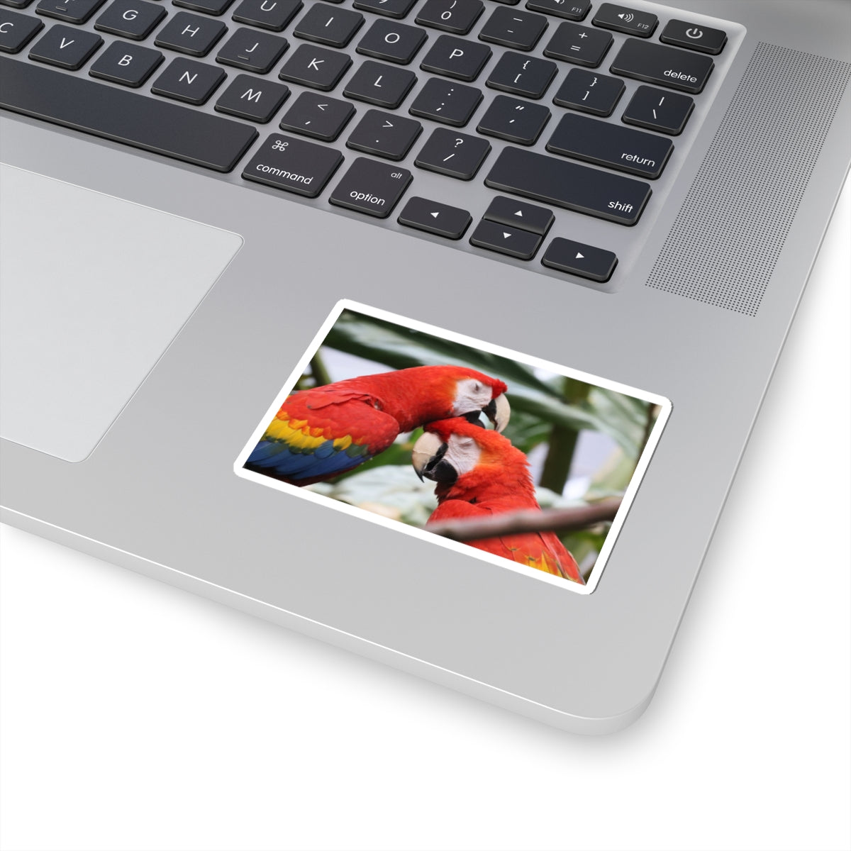 Scarlet Macaw Kiss-Cut Sticker — Tropical Parrot Laptop Decal