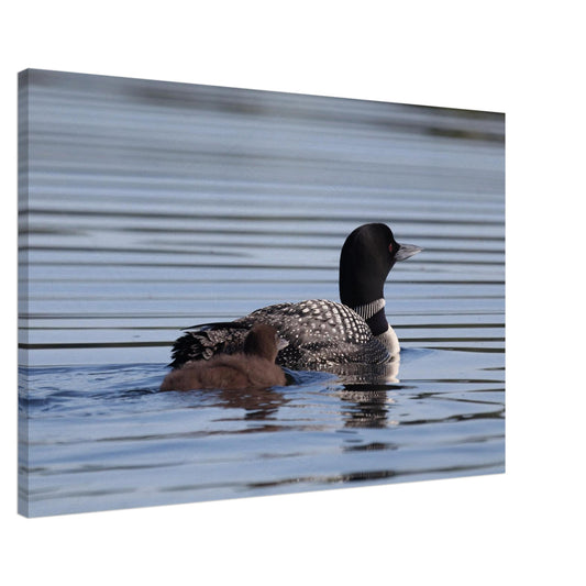 46a79d86-1a08-44f7-91b5-6beffec48e62