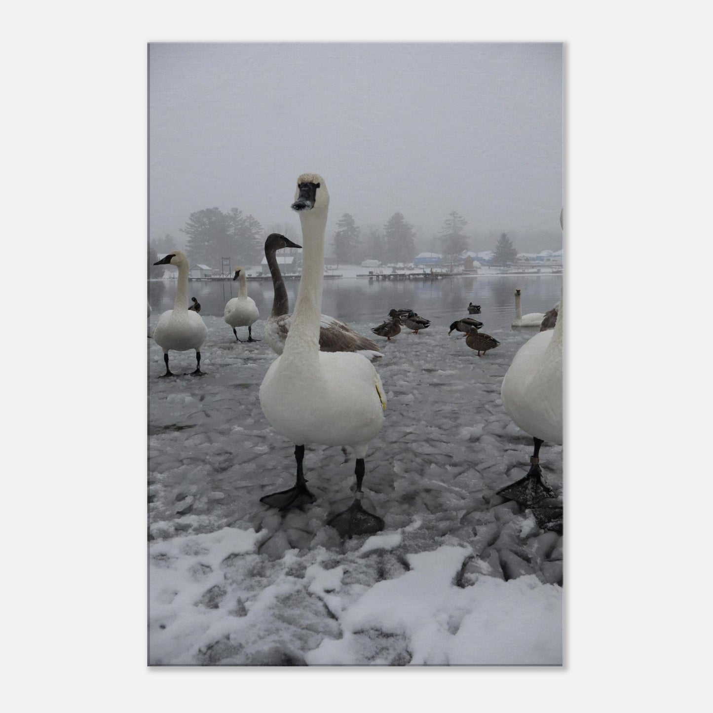 46edb5fd-2db4-4574-b08e-1852ef6d2610