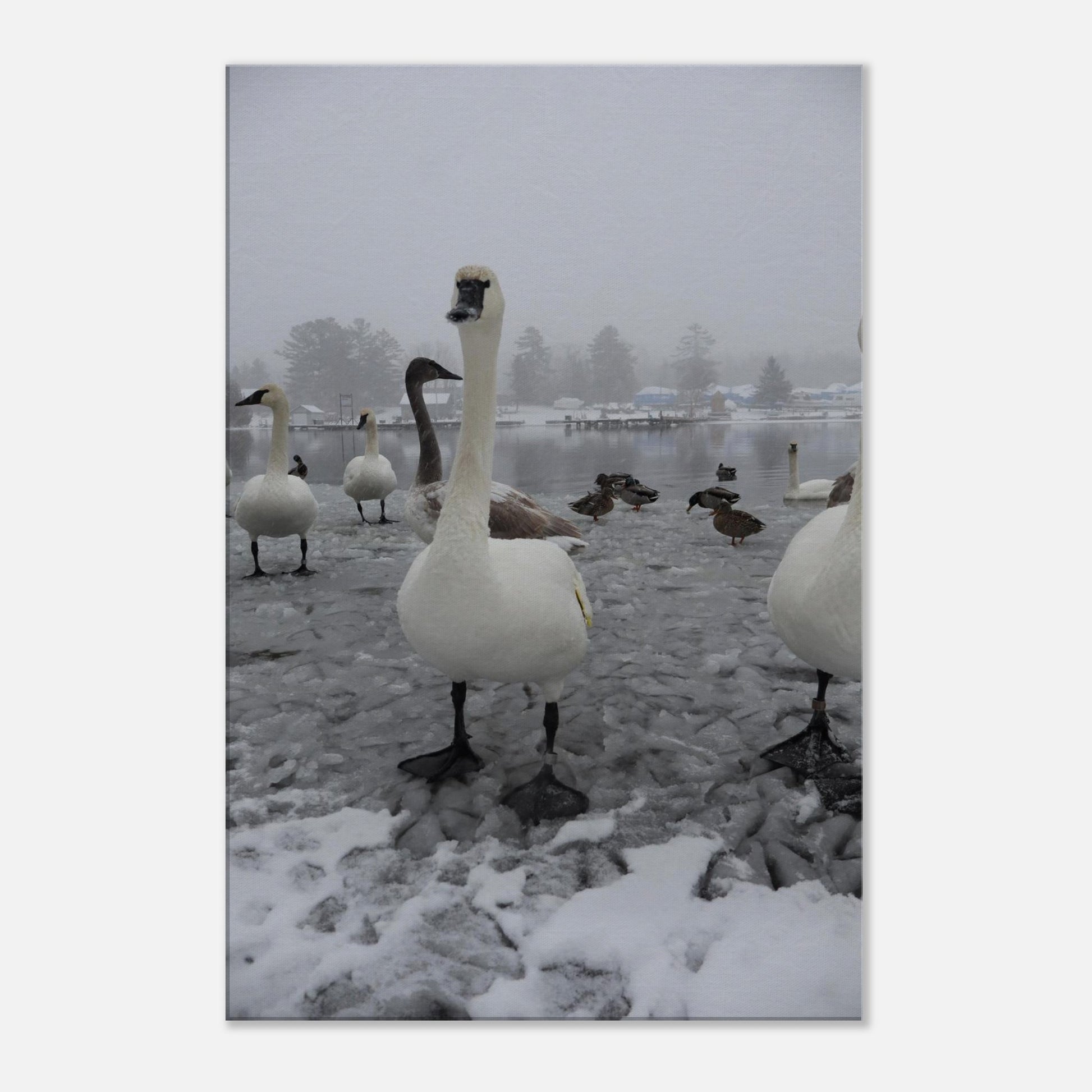 46edb5fd-2db4-4574-b08e-1852ef6d2610