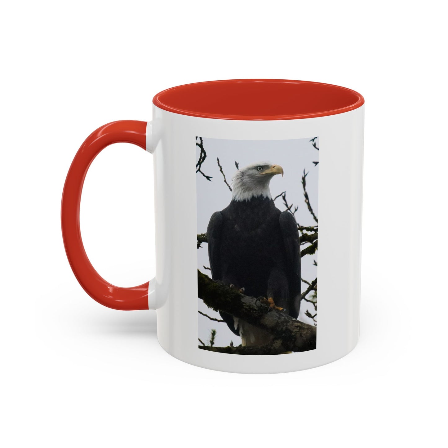 Bald Eagle Accent Coffee Mug – Patriotic Wildlife 11/15oz