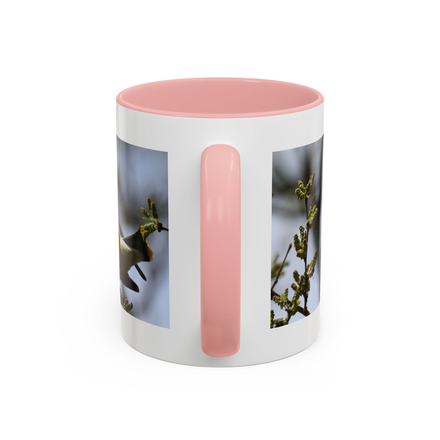 Cedar Waxwing Bird Photo Accent Coffee Mug