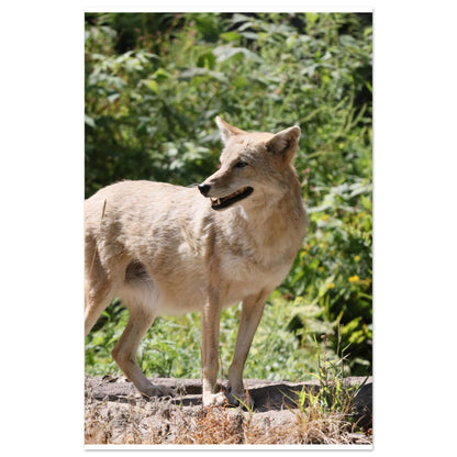 4760a6bd-2b77-4668-9369-7f307ff59d62