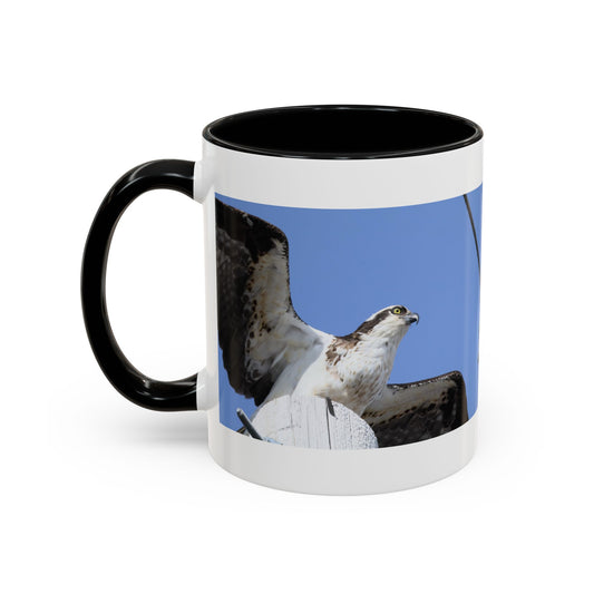 Osprey Photo Accent Coffee Mug – Wildlife Bird Photography Drinkware (11/15 oz)