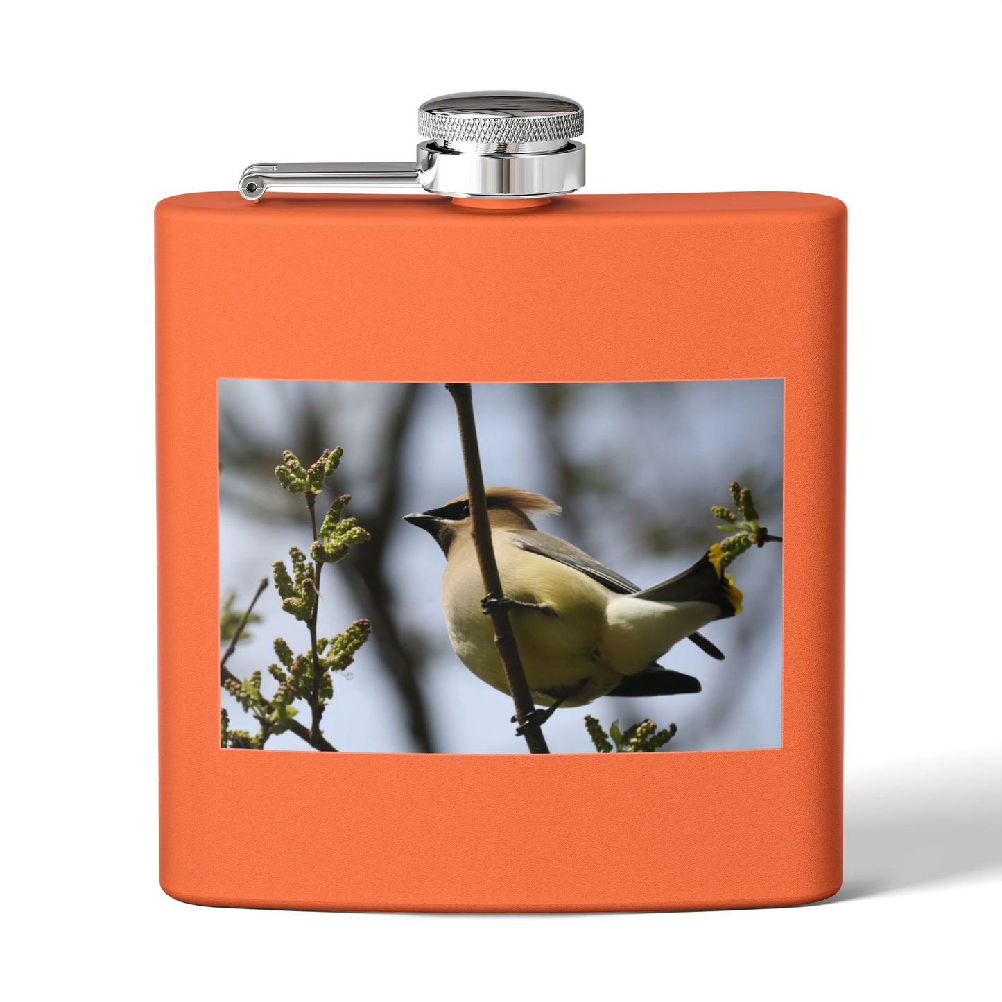 6oz Stainless Steel Flask with Cedar Waxwing Bird Photo — Wildlife Gift for Bird Lovers