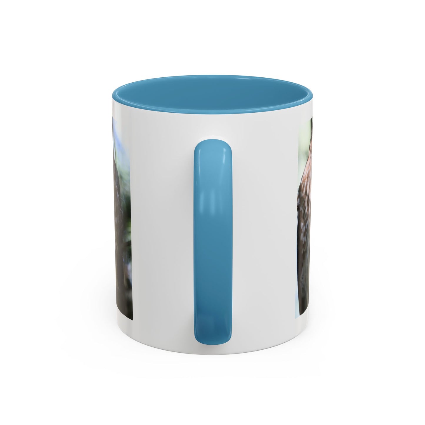 Hawk Photo Accent Coffee Mug — Birdwatcher Gift, 11/15oz