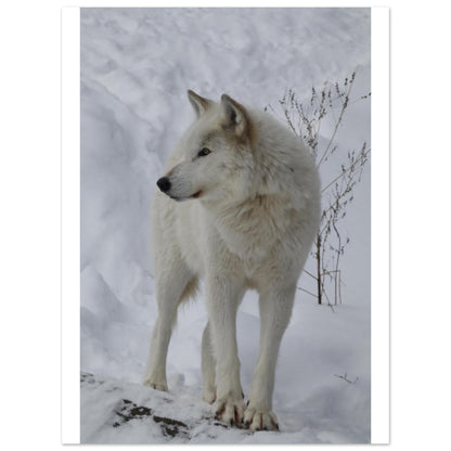 47c02244-b702-42a2-86b6-7abd669e896f