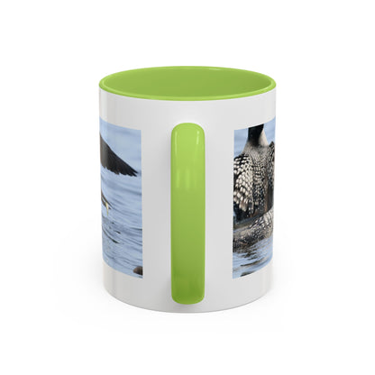 Common Loon Accent Coffee Mug – Wildlife Photography Bird Lover Gift (11/15oz)