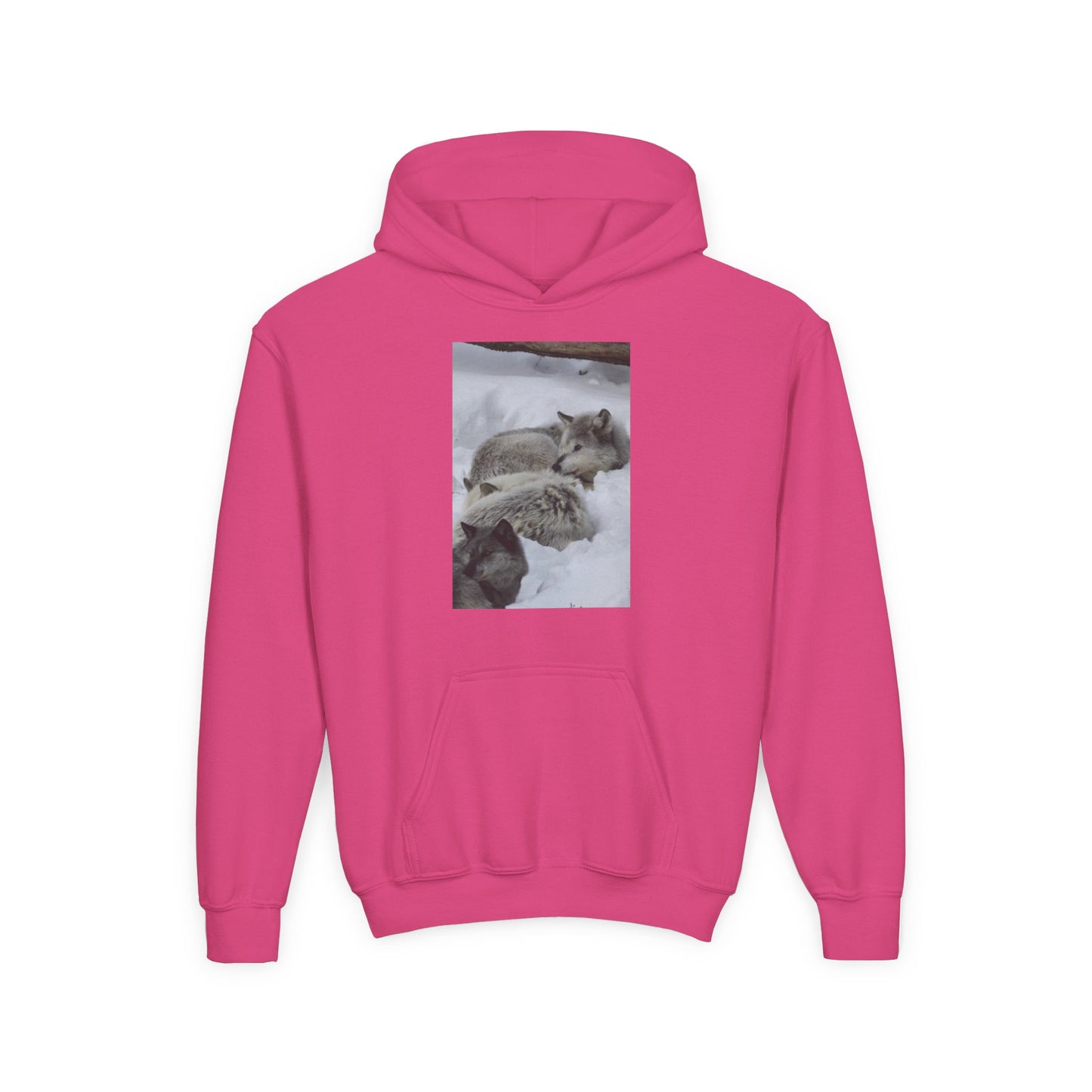 Sleeping Foxes Youth Hoodie | Wildlife Photography, Snow Scene