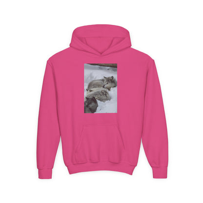 Sleeping Foxes Youth Hoodie | Wildlife Photography, Snow Scene