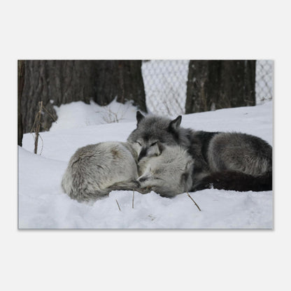 485cca47-abd8-4144-916f-8c78fc308dac