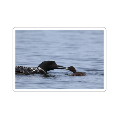 Common Loon & Chick Kiss-Cut Sticker — Wildlife Photo Waterproof Decal