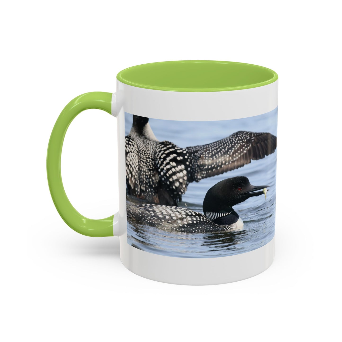 Common Loon Accent Coffee Mug – Wildlife Photography Bird Lover Gift (11/15oz)