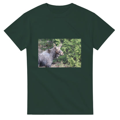 487faff4-d354-43f1-9a64-2f911ca5033c