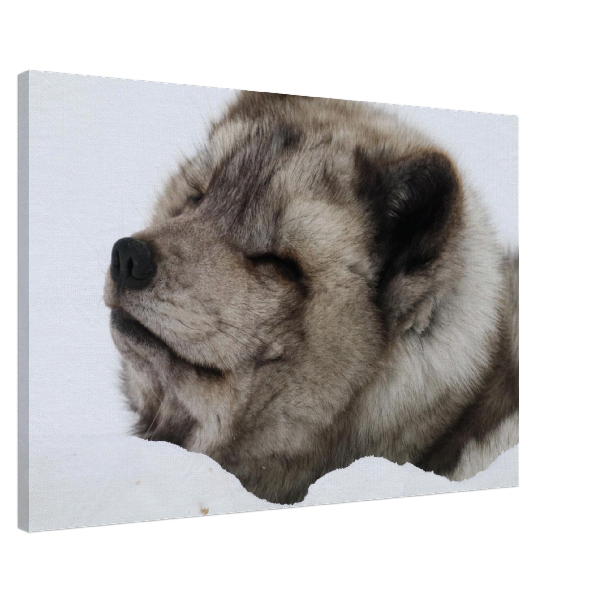 495e7fad-09e4-4f07-8f7d-238c721fd250