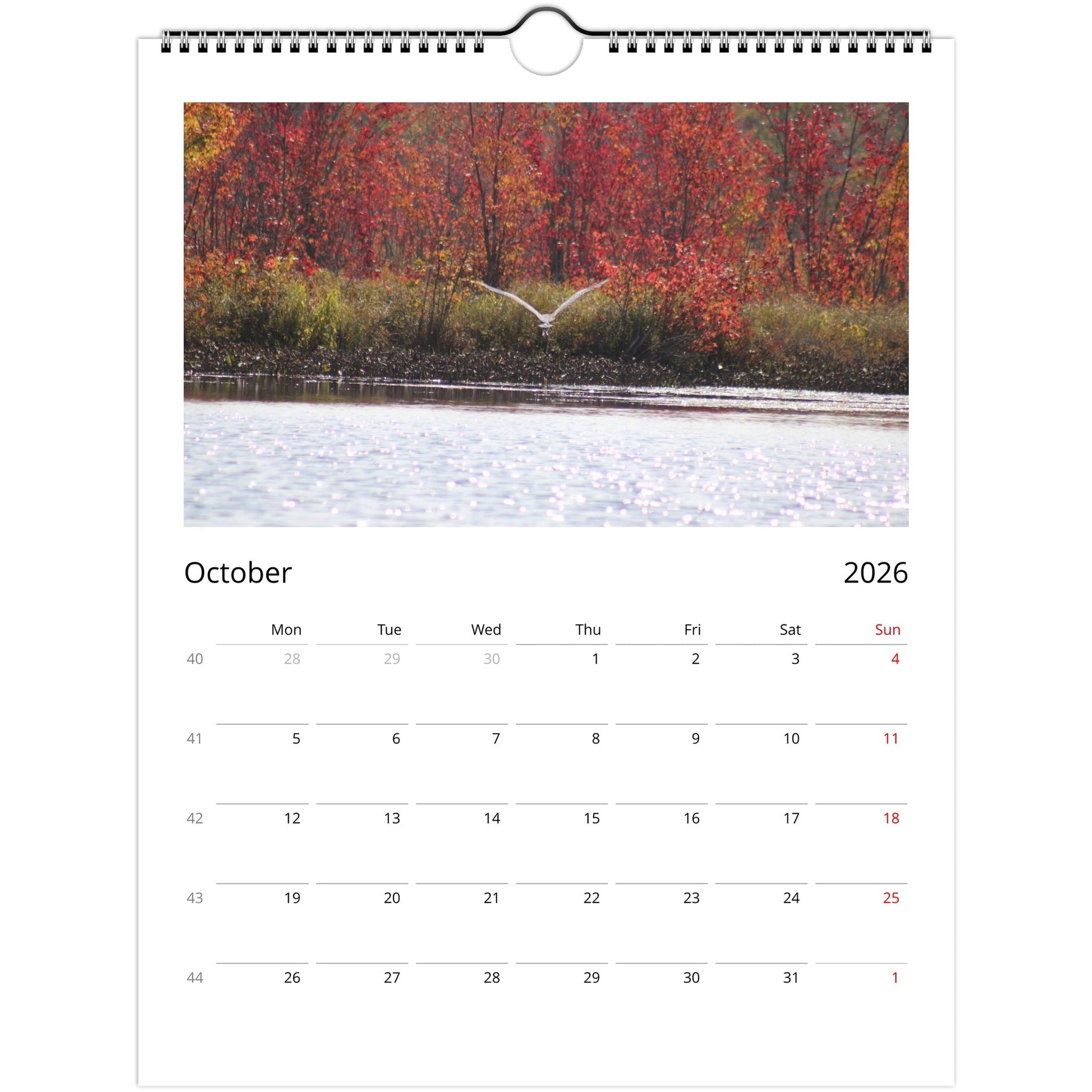 496d426d-e6e7-451e-8500-f3bcca32061e